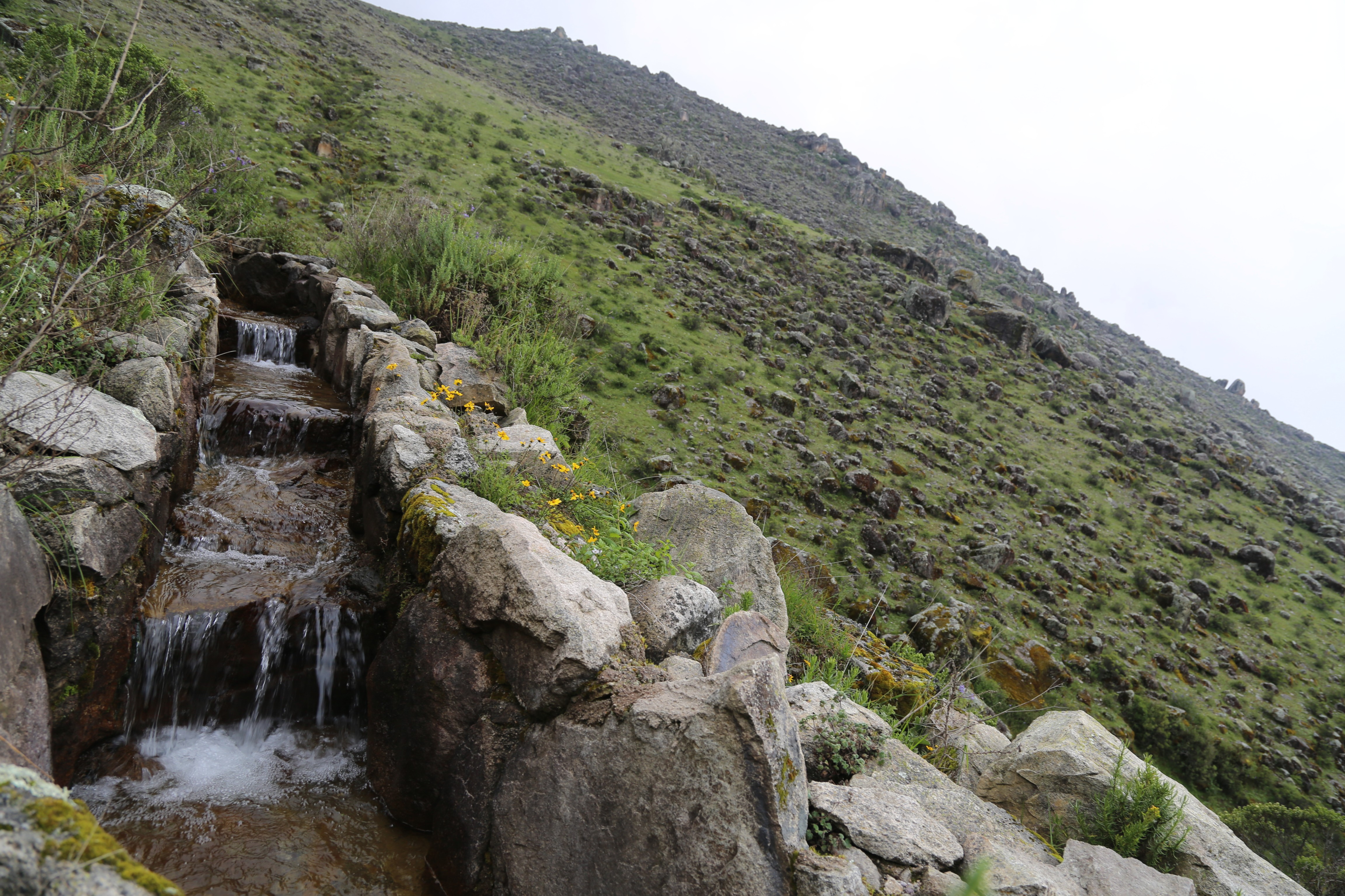 Ochoa-Tocachi-Peru-2