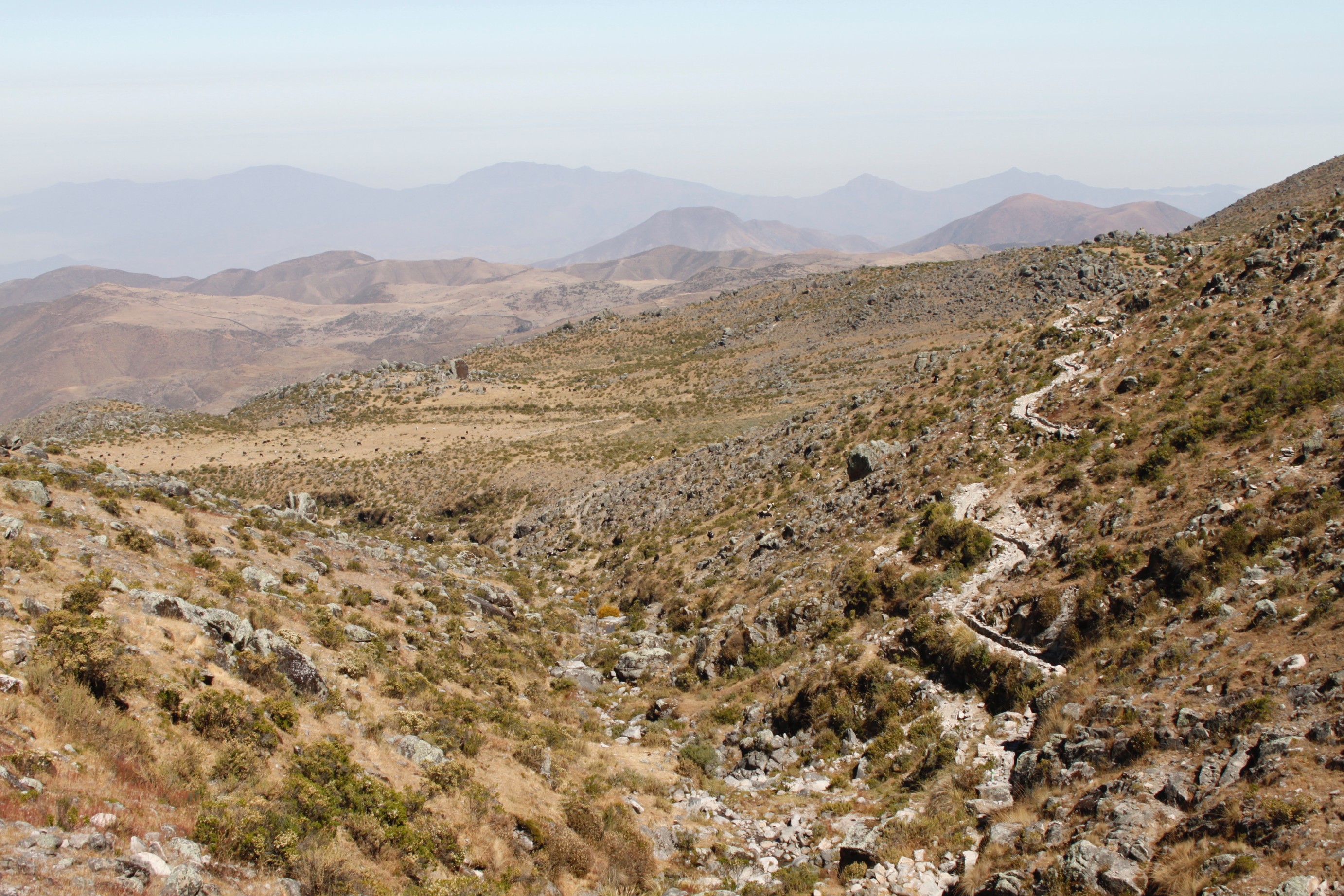 Ochoa-Tocachi-Peru-4