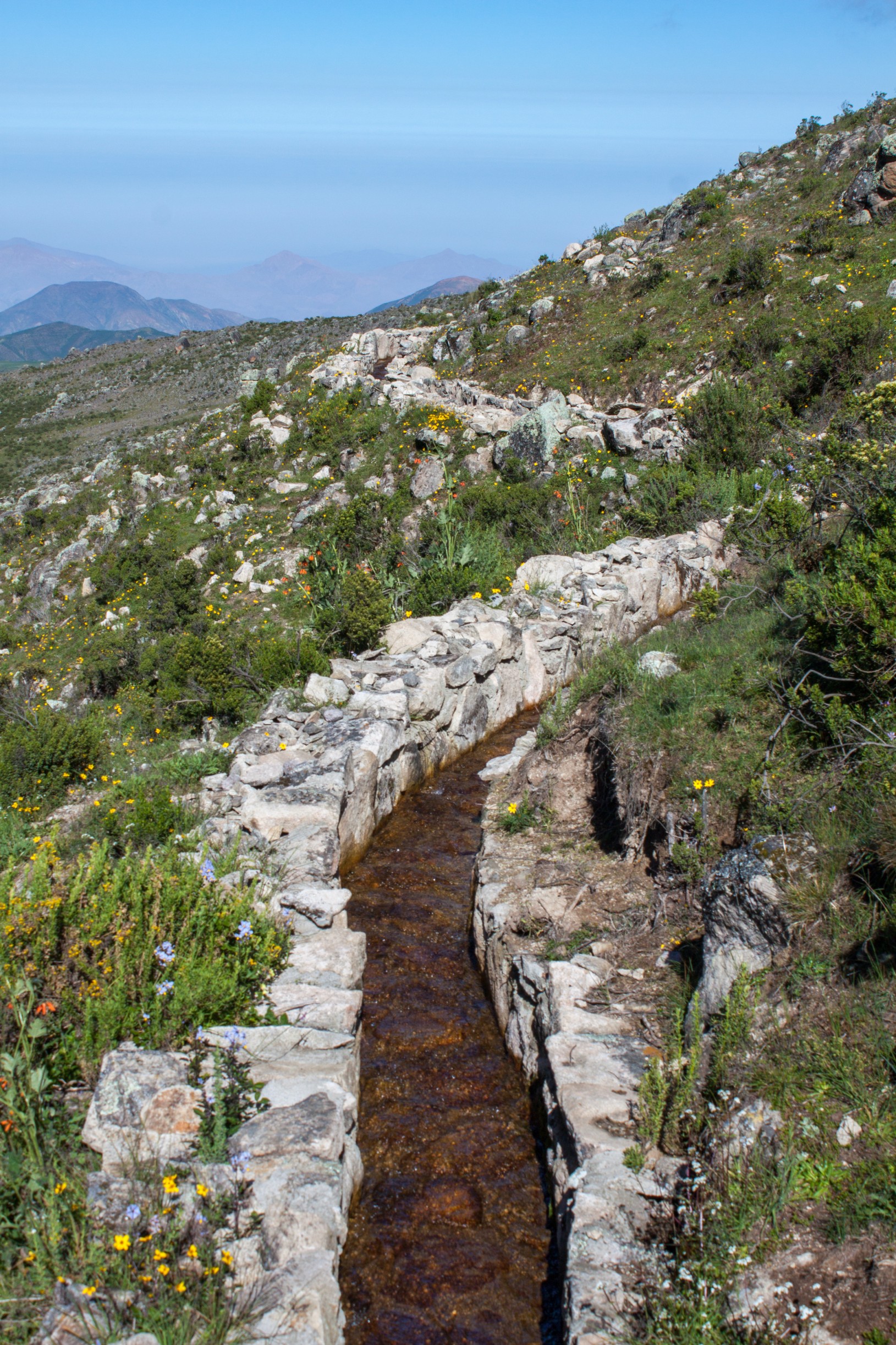Ochoa-Tocachi-Peru-5